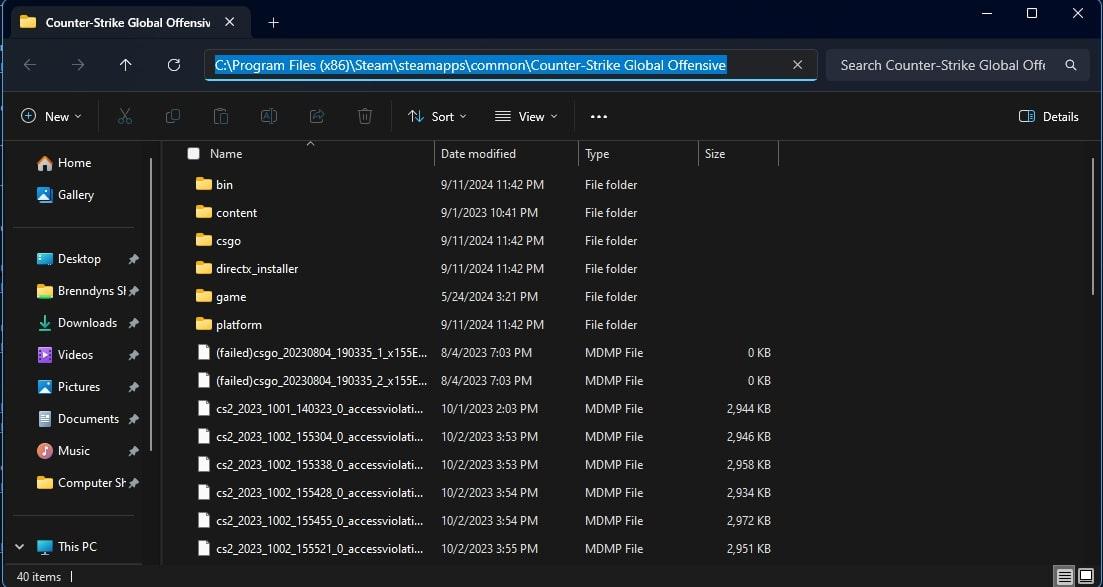 Windows file explorer cs:go folder path