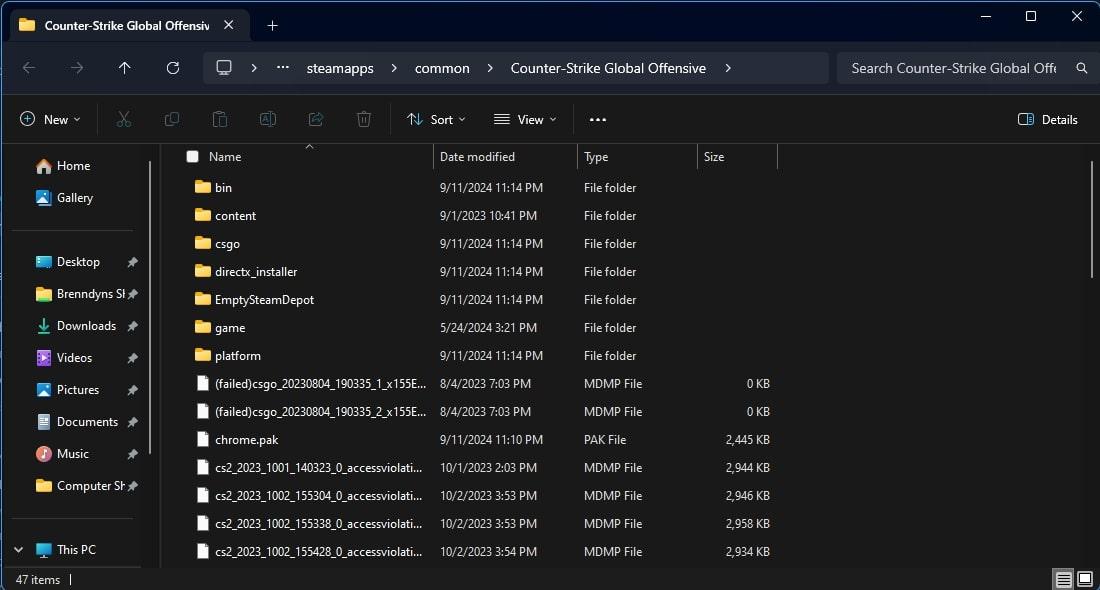 Windows file explorer cs:go folder